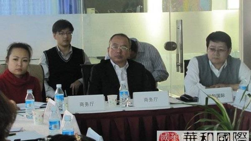 组织架构变革：如何构建有效的咨询案例模板**